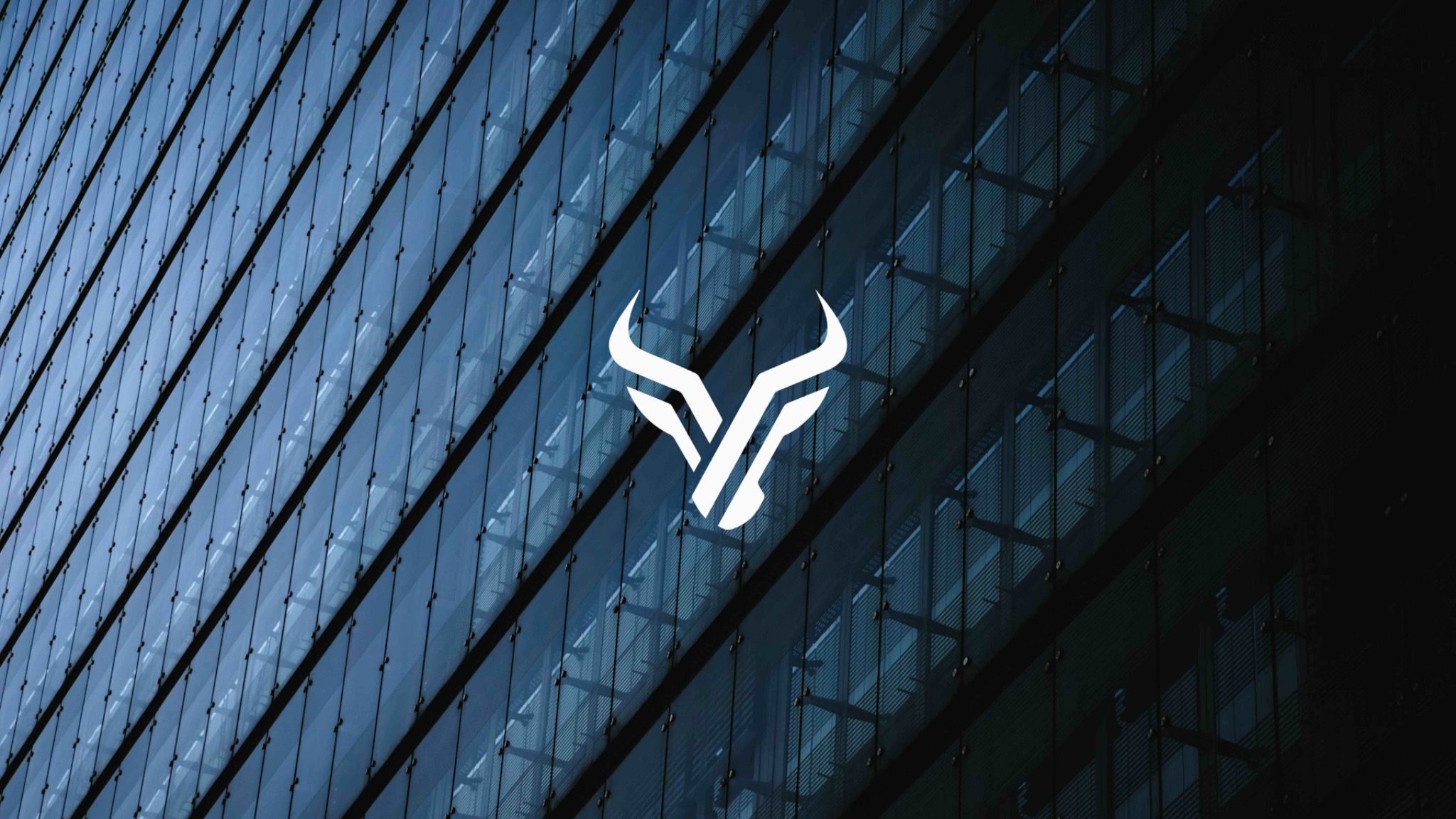 Vive Finance preview